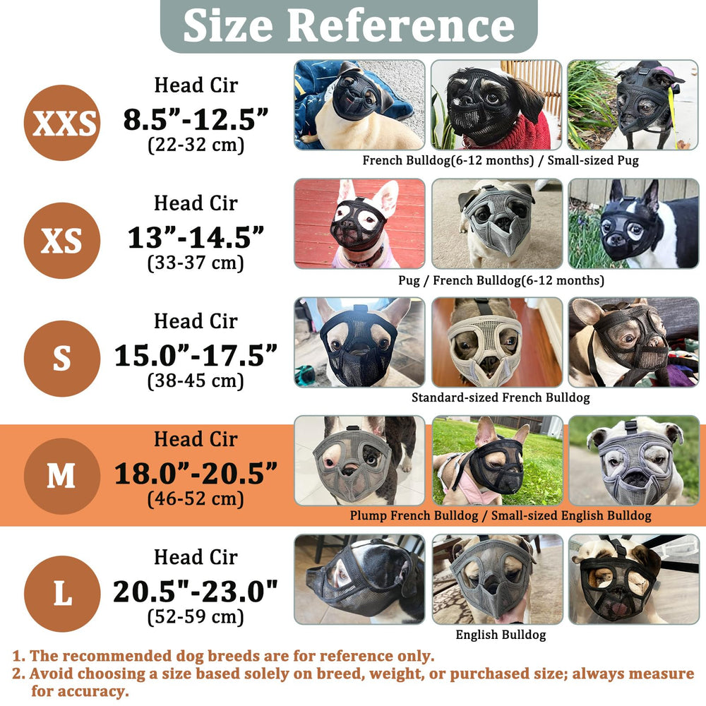 Bozal con cinco tallas para razas braquicefálicas como pug y bulldog.