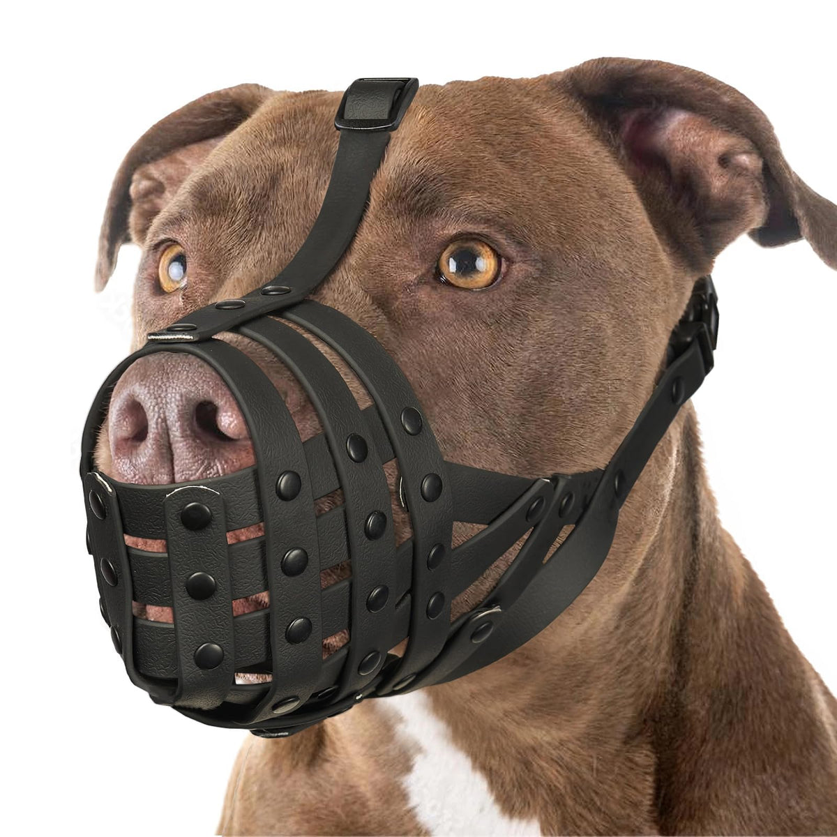 Mayerzon mordaza de cesta para Pitbull con talla ajustable para ajuste seguro durante paseos