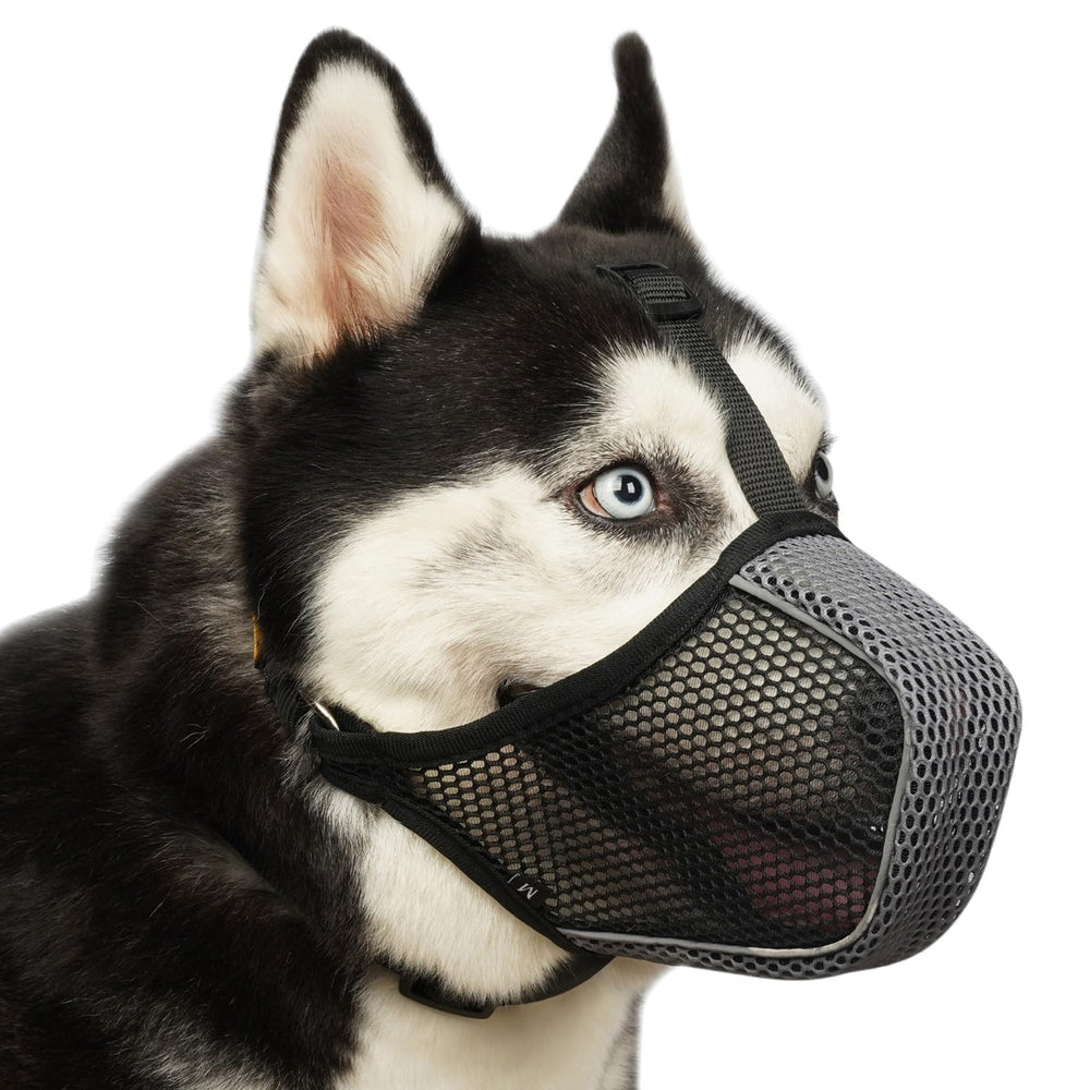 Mayerzon bozal de malla aireada para perro, facilita respiración durante paseos