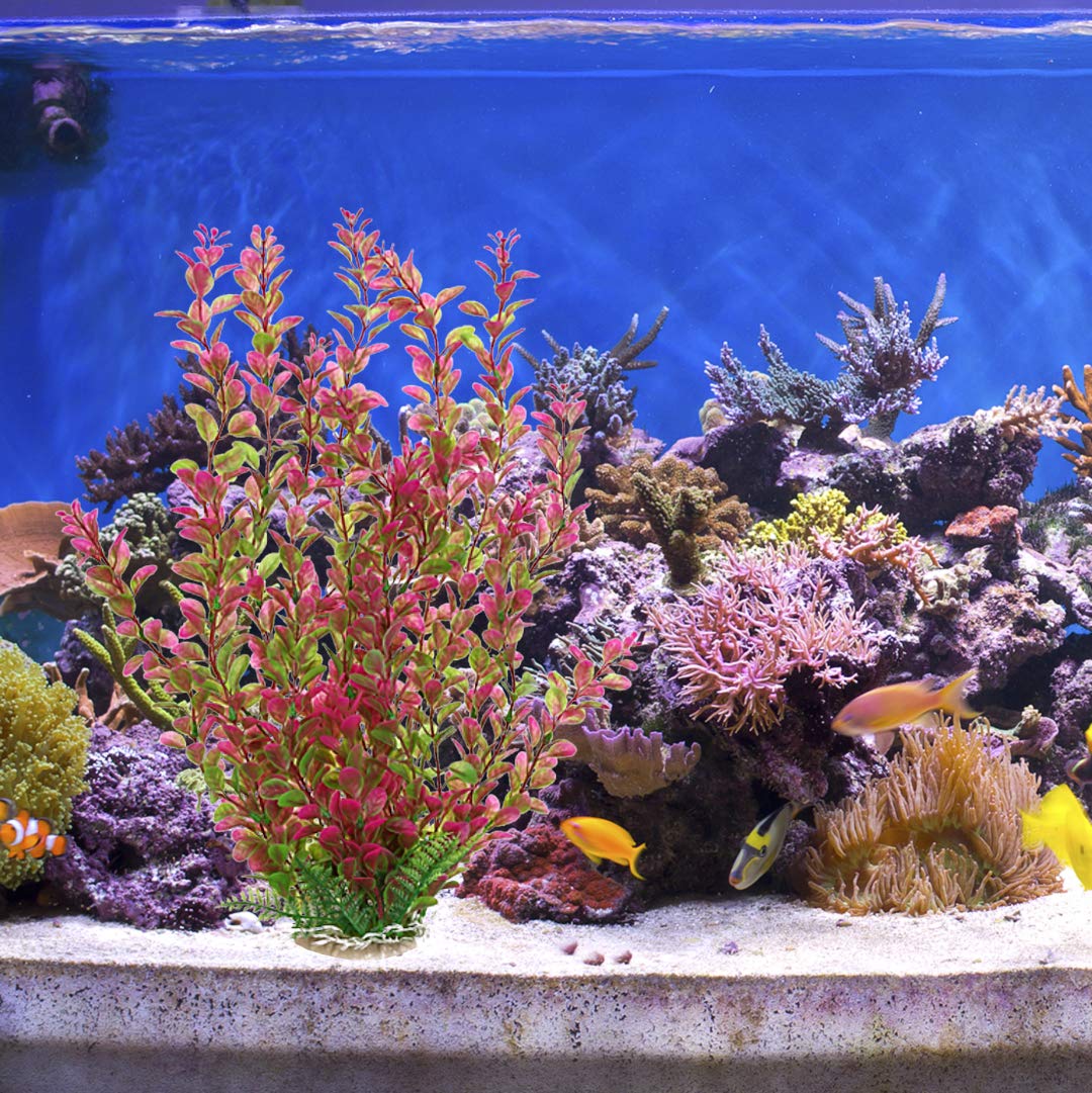 Mayitr planta para acuario de plástico, facilita limpieza y mantenimiento