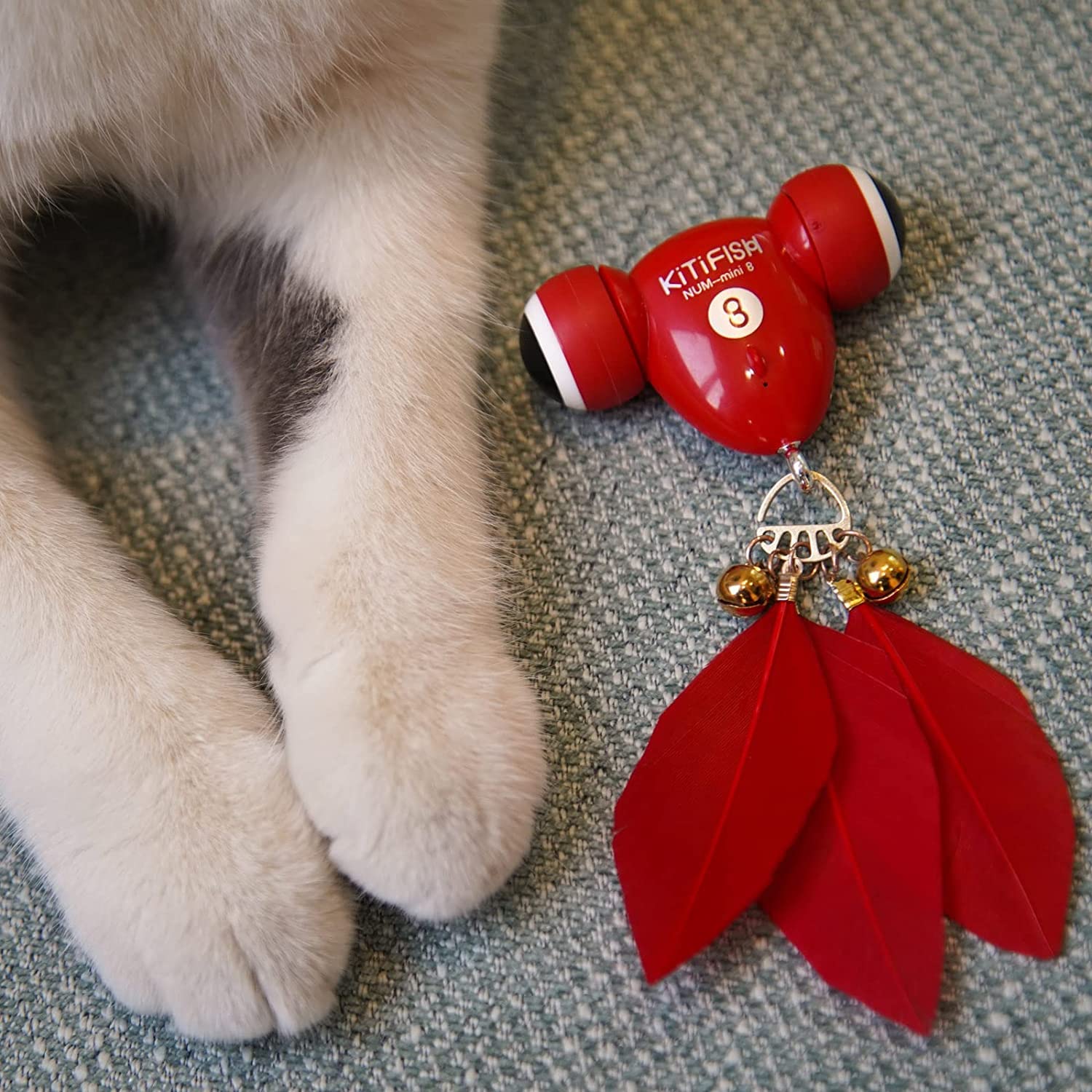 KiTiFISH regalo ideal para amantes de gatos