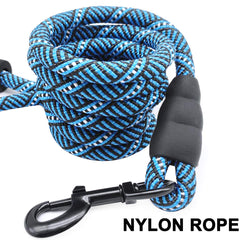 MayPaw diseño multicolor para combinar con tu perro.