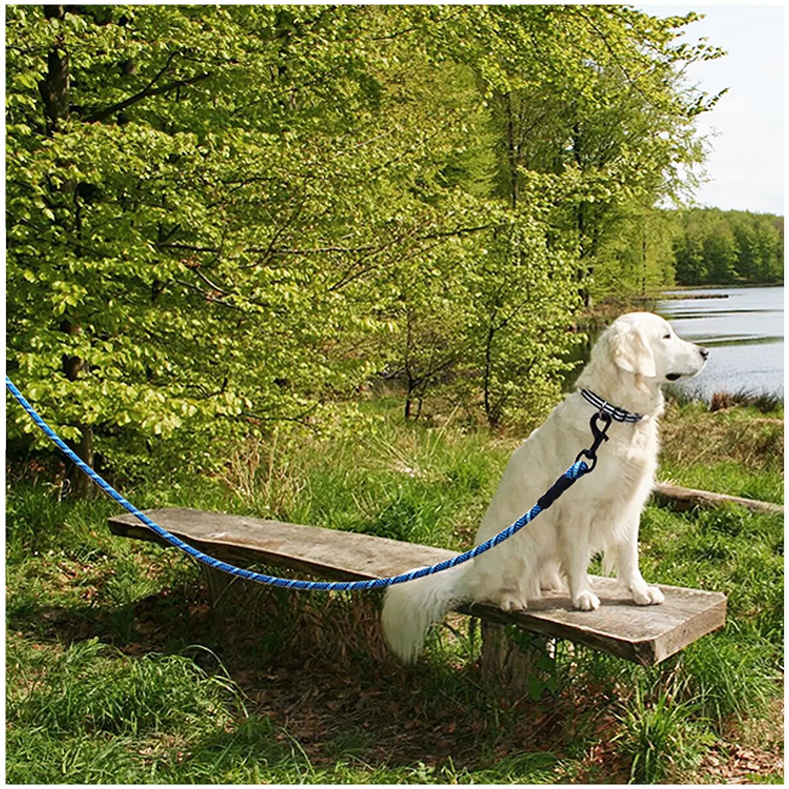 MayPaw nylon resistente para exterior y entrenamiento.