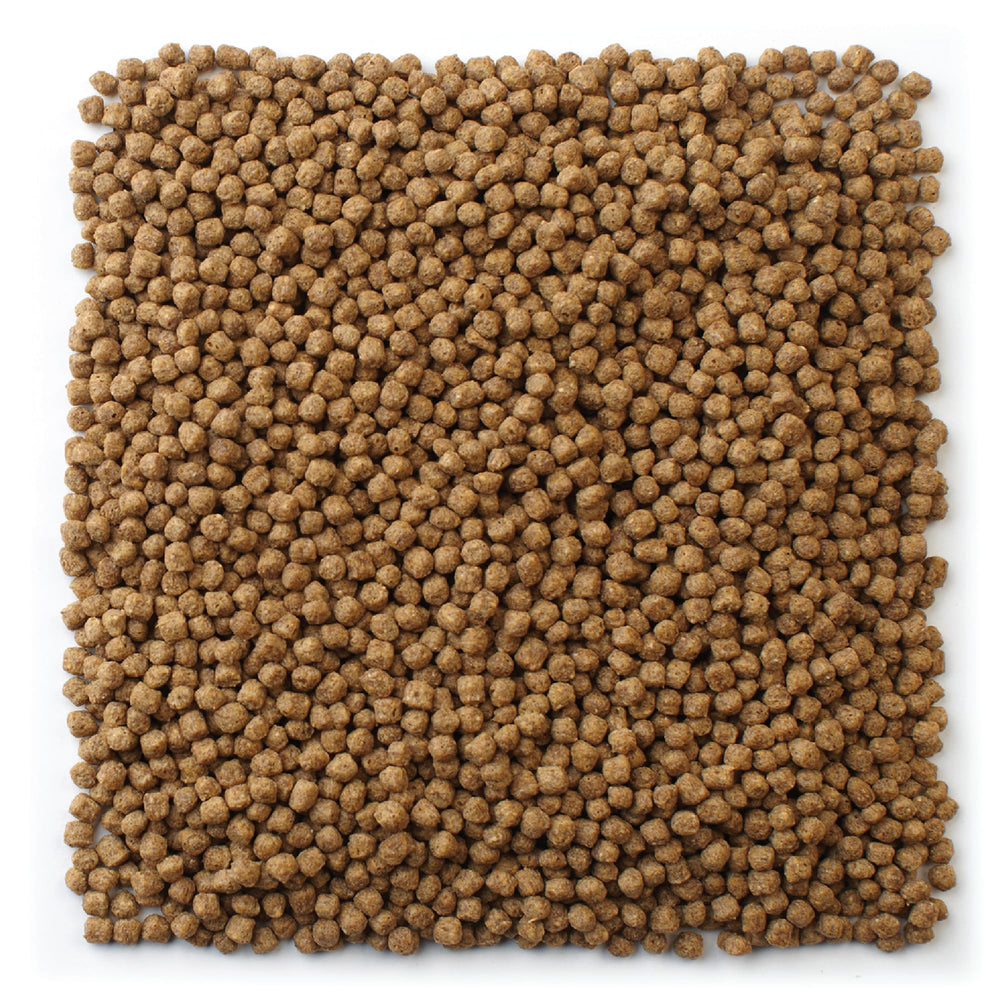 Pellet flotante Mazuri Koi Premium Food para alimentar en superficie y mantener el agua clara.