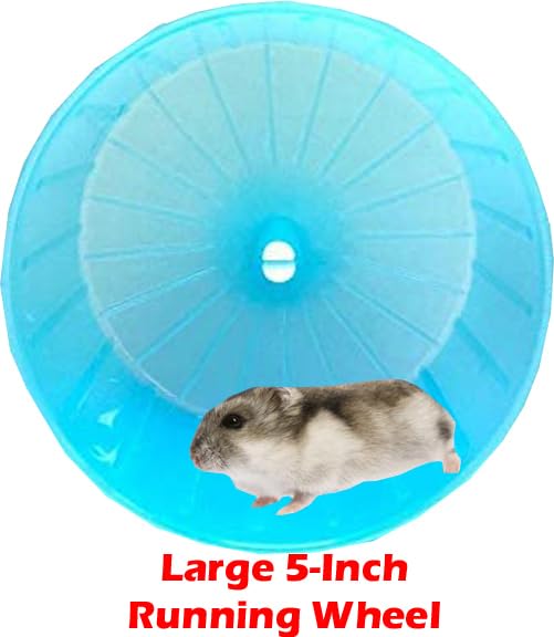 Mcage tazón de alimento transparente facilita la alimentación.