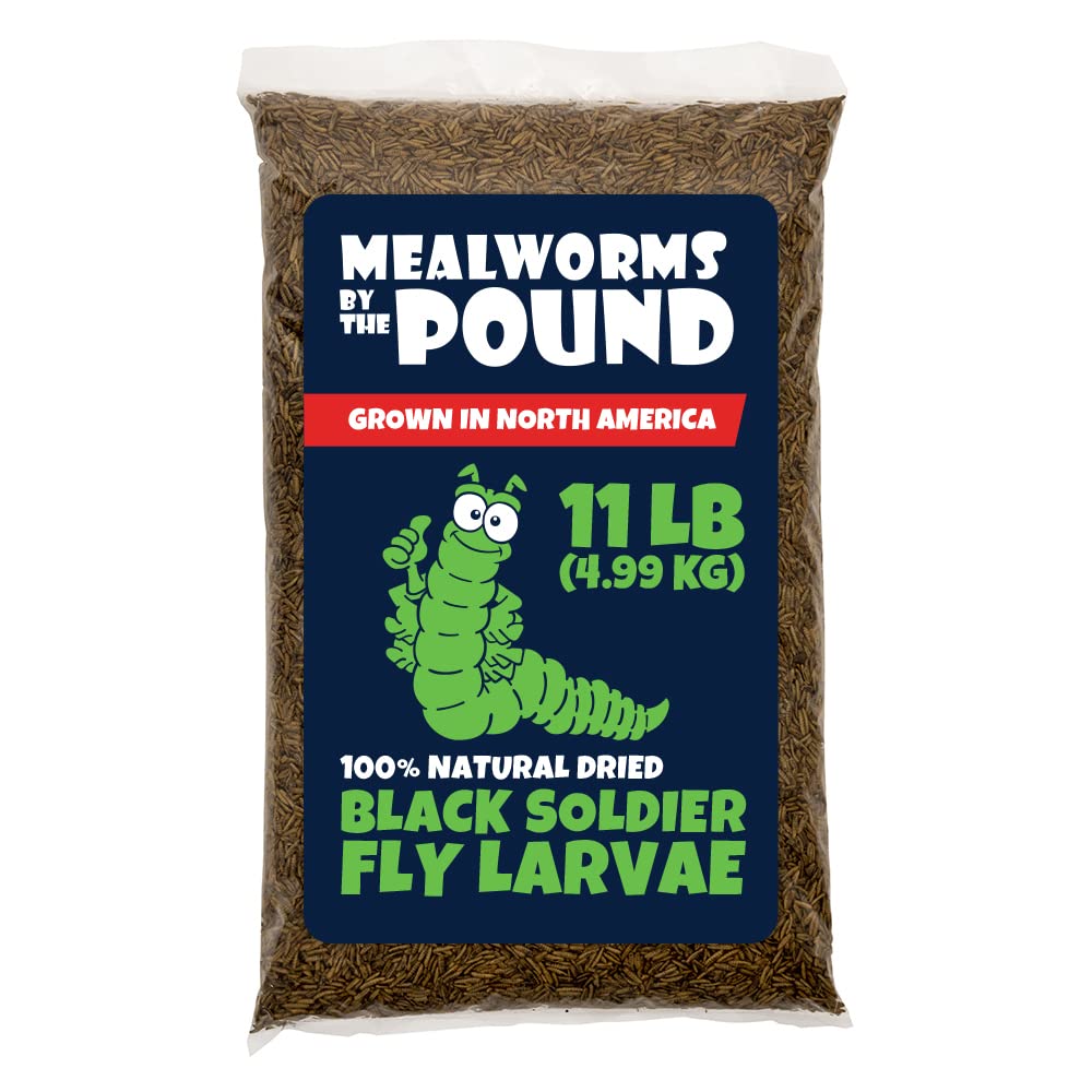 Mealworms by the Pound - uso recomendado como snack proteico para mascotas.