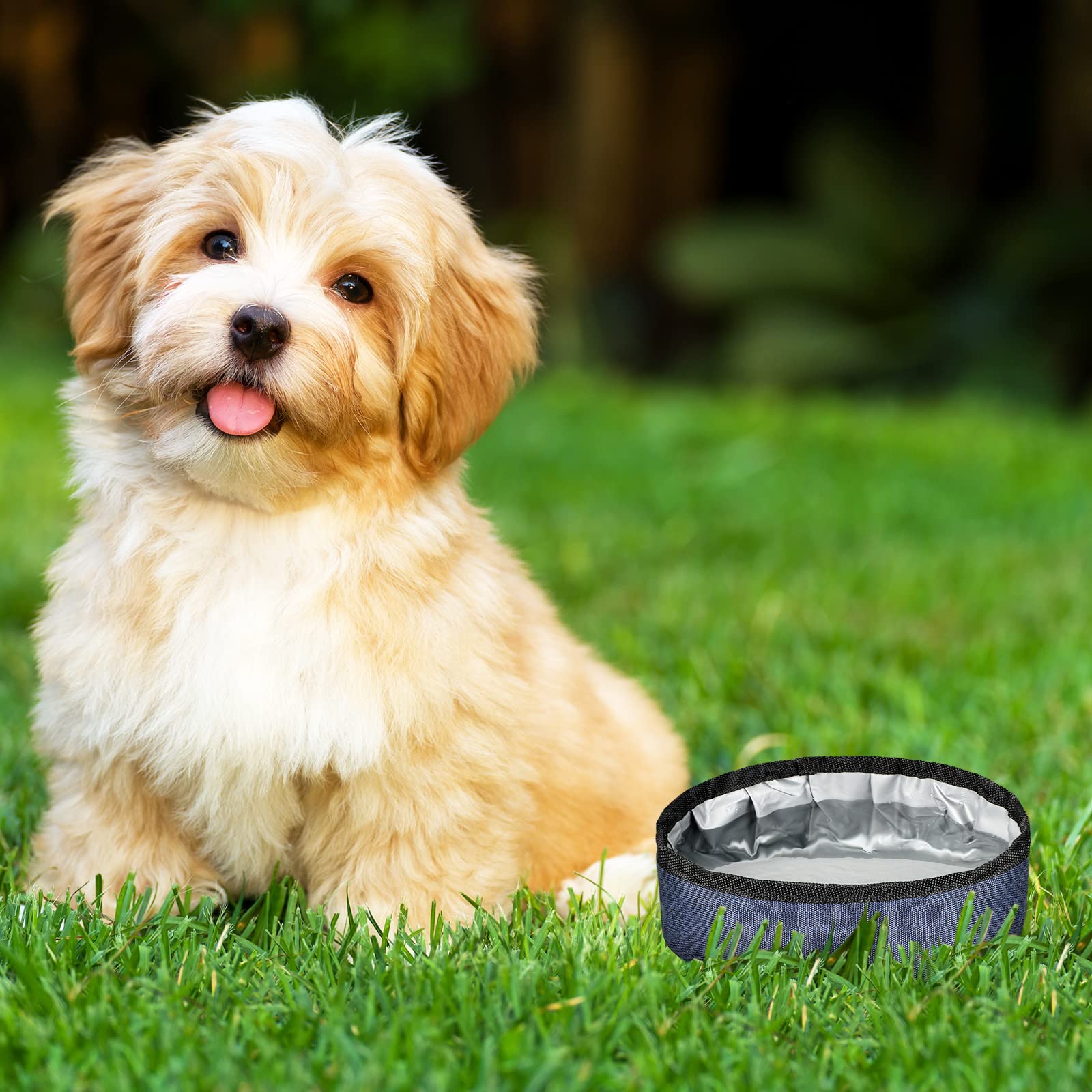 Meanplan apto para varias mascotas, ideal para perros y gatos.