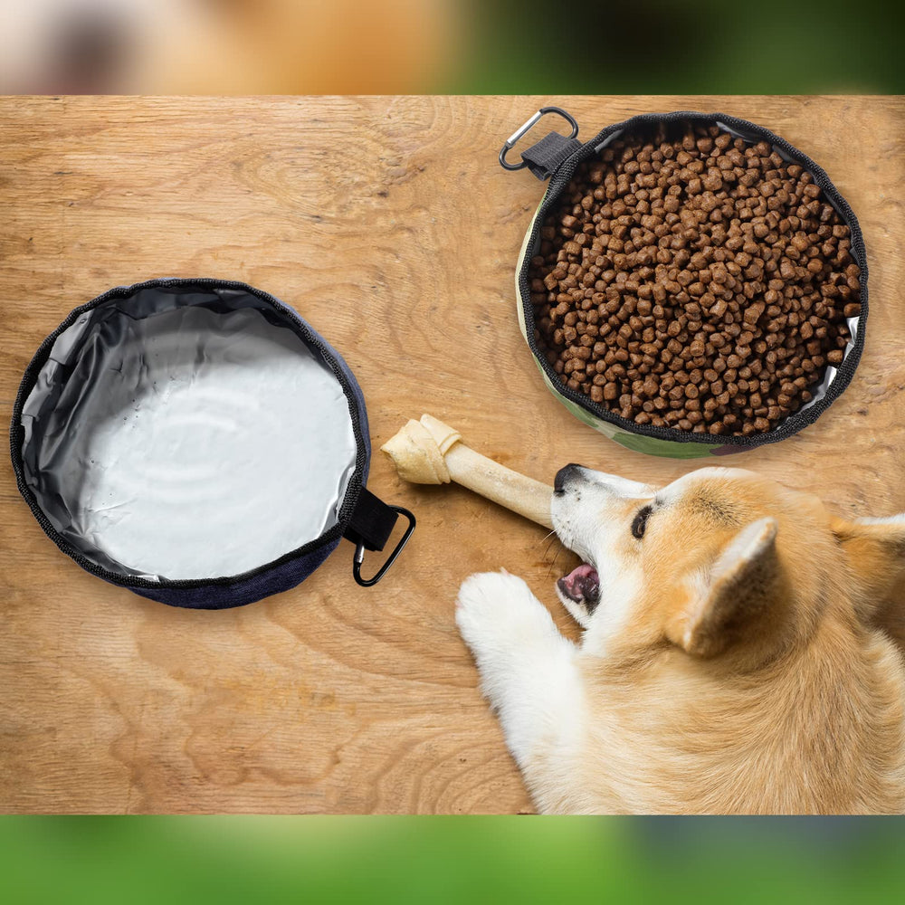Meanplan perfecto para salidas al aire libre con mascotas.
