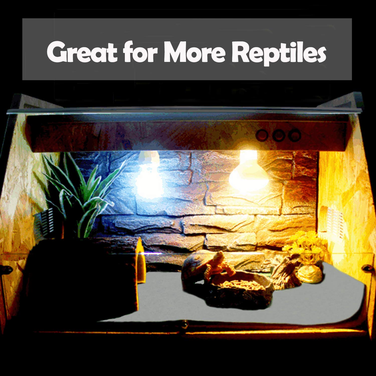 Material de alta densidad Mechpia, seguridad y absorción para reptiles.