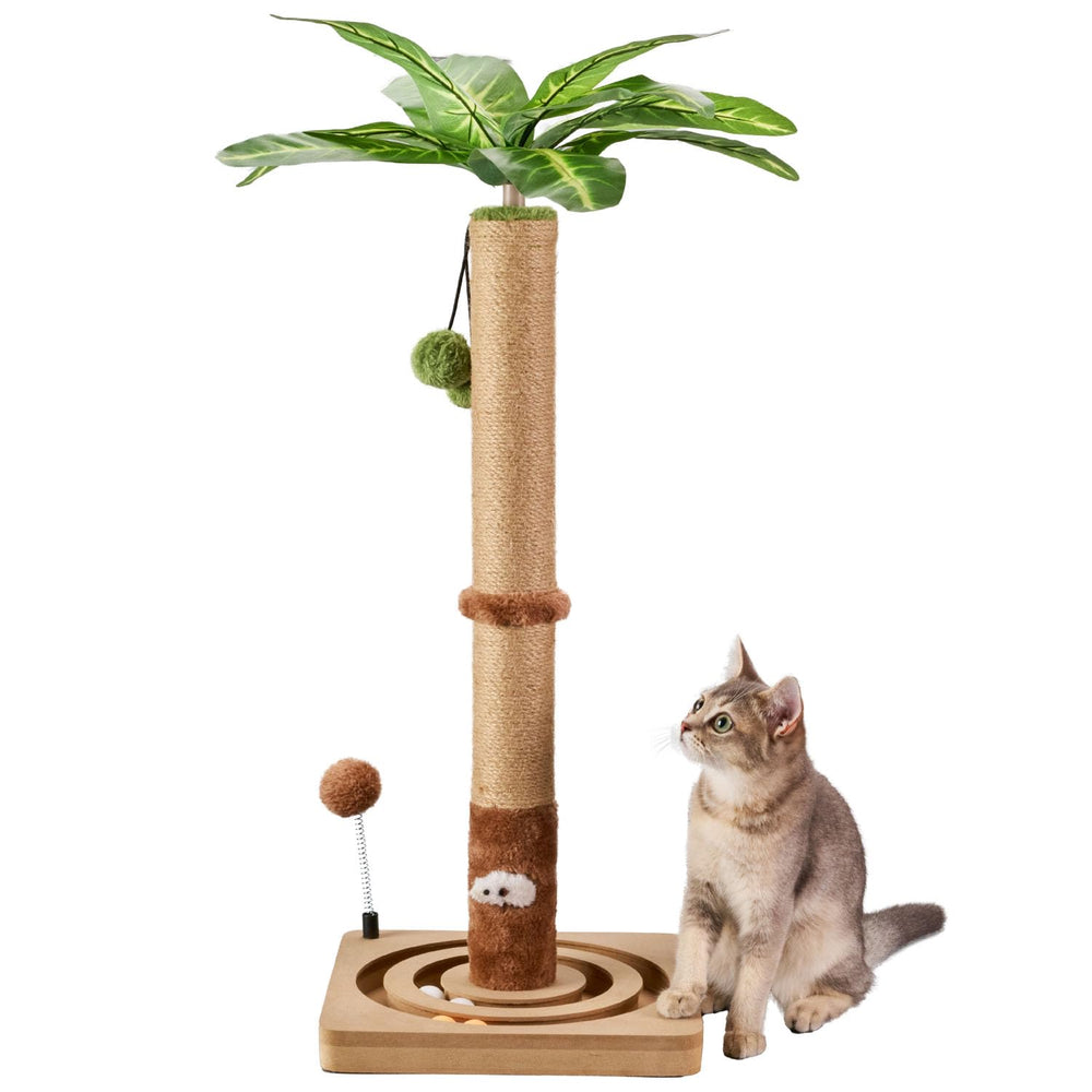 MECOOL arbol-gato-montaje-facil instalación rápida para empezar a disfrutar.