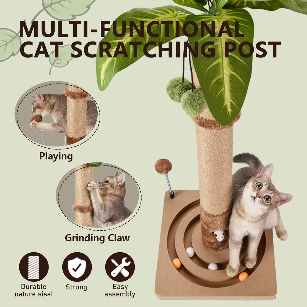MECOOL arbol-gato-pista-bola-juego permite seguimiento de la bola en movimiento.