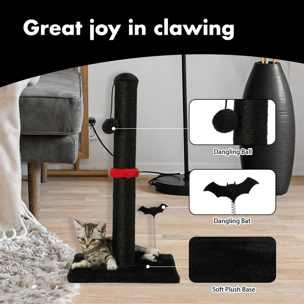 MECOOL bola colgante para gatos, juego interactivo que estimula ejercicio.