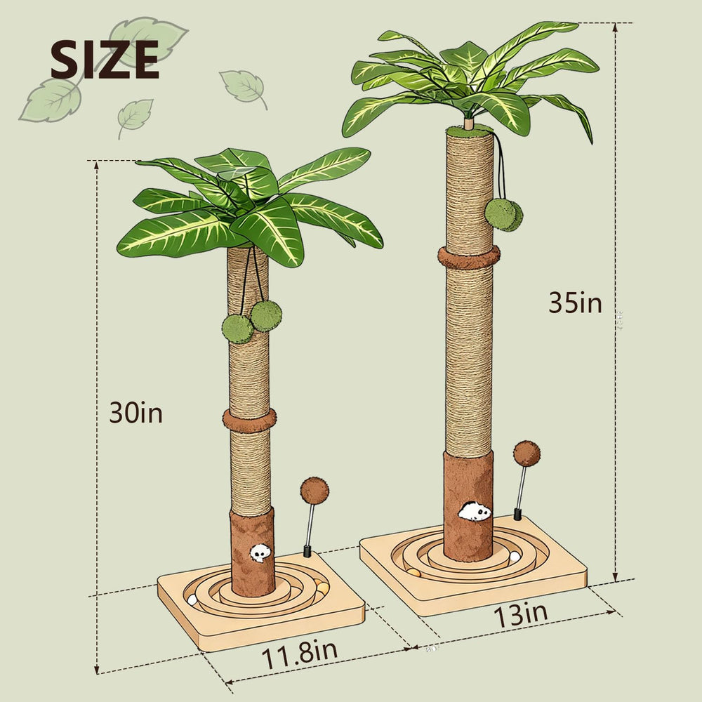 MECOOL diseño único de planta que decora y entretiene