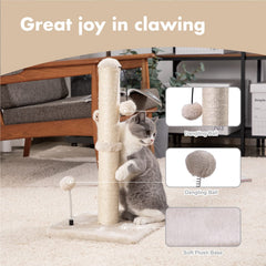Pelota colgante interactiva de MECOOL para juego felino.