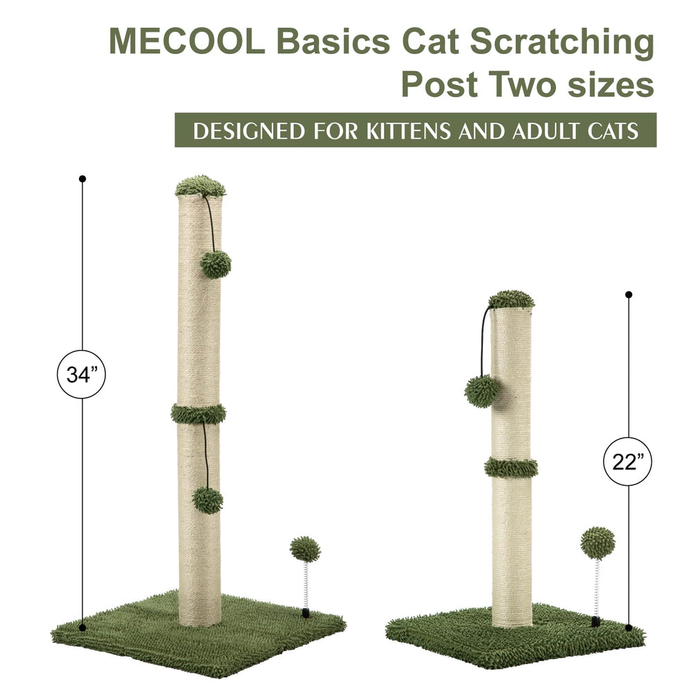 MECOOL rasca-gato verde cactus se integra con decoración