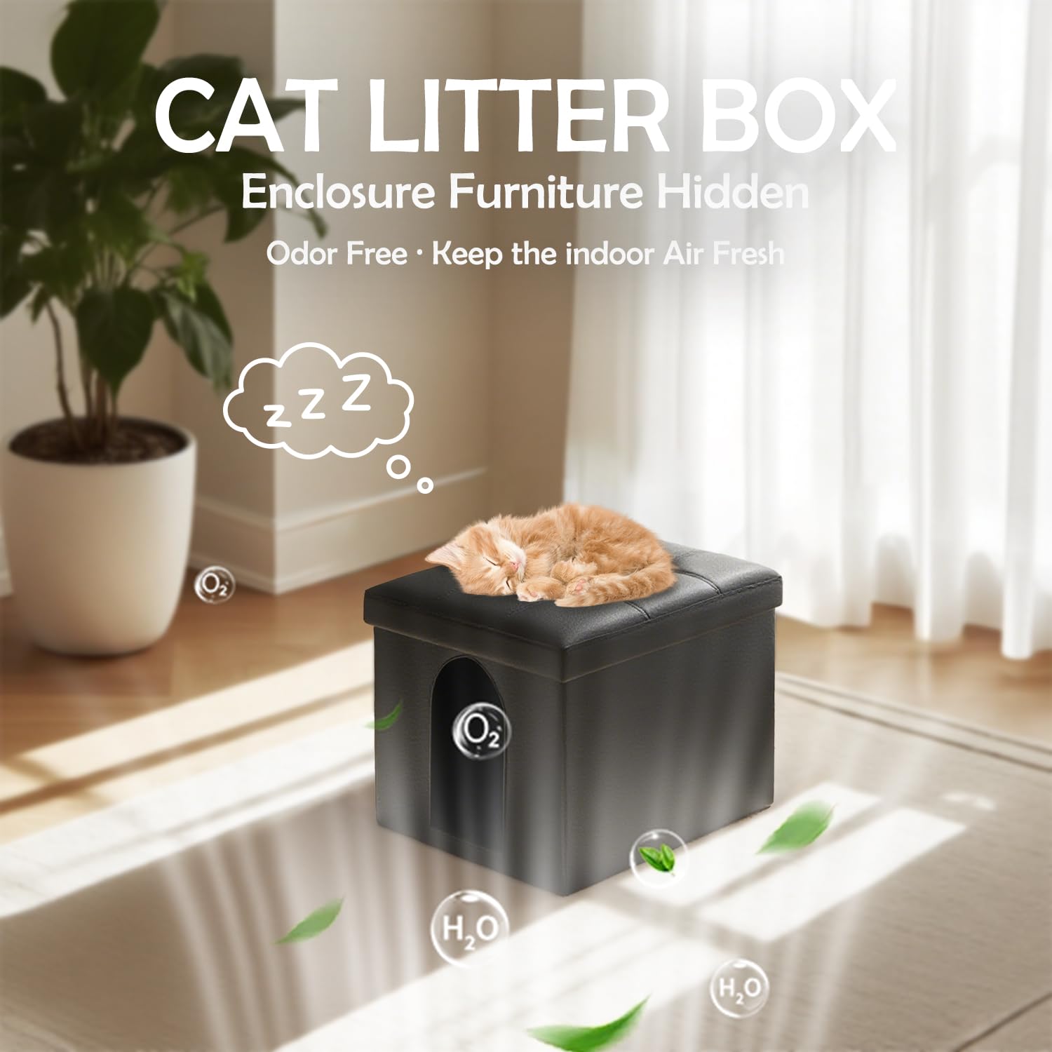 Montaje fácil de MEEXPAWS: cabina de arena lista en minutos