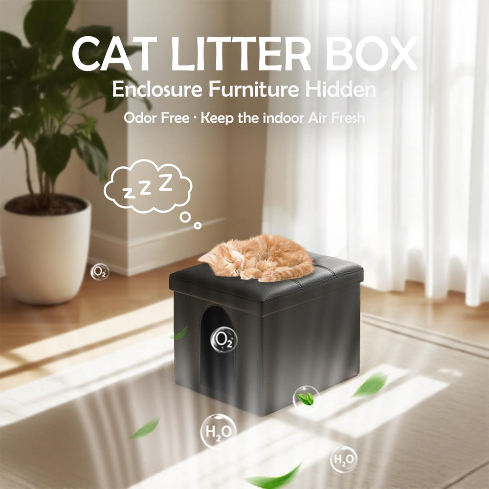 Montaje fácil de MEEXPAWS: cabina de arena lista en minutos