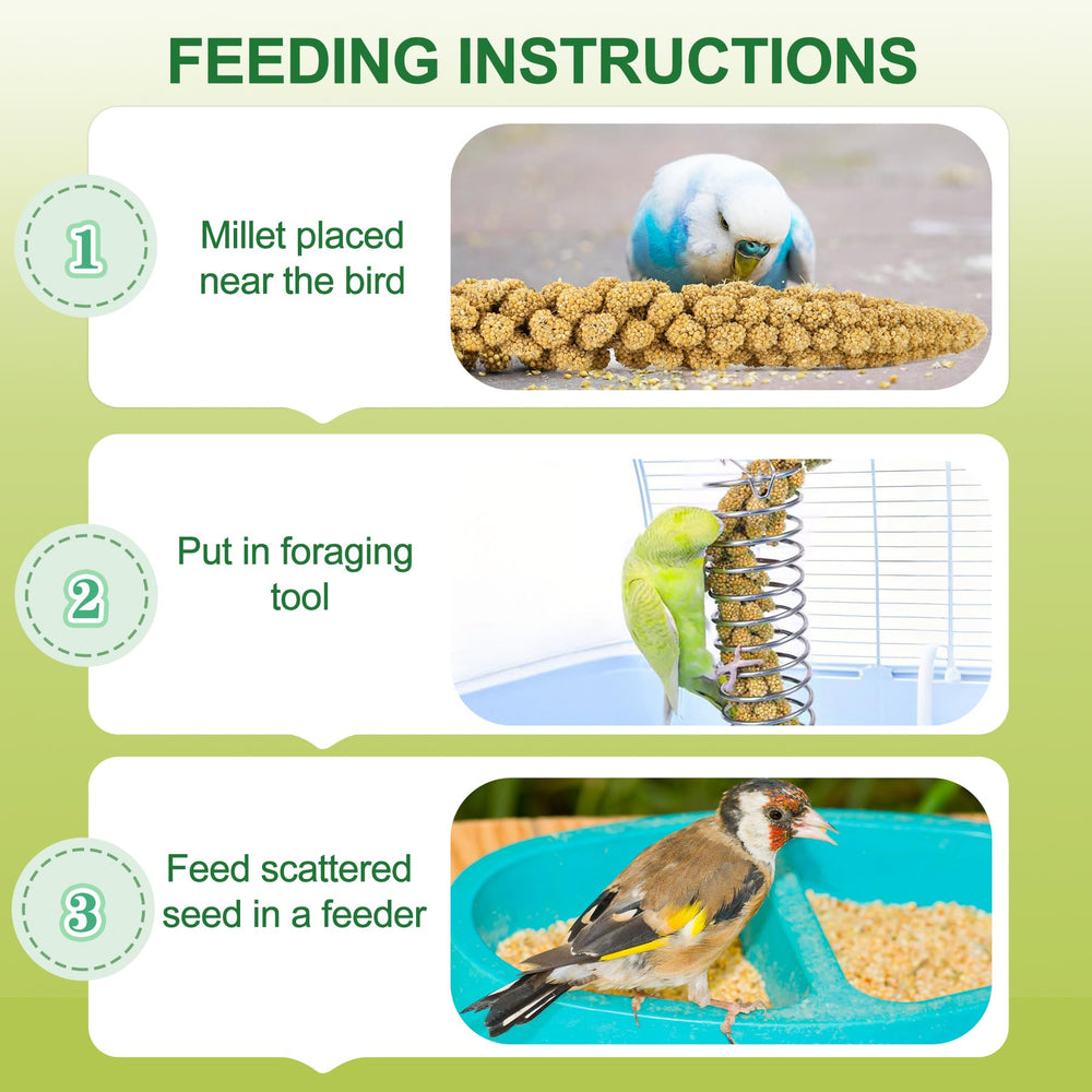 MEILLEURE mijo natural sin aditivos: seguro para aves y mascotas