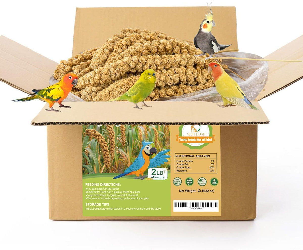 MEILLEURE mijo rociado 2lb envase: fuente de energía natural para aves