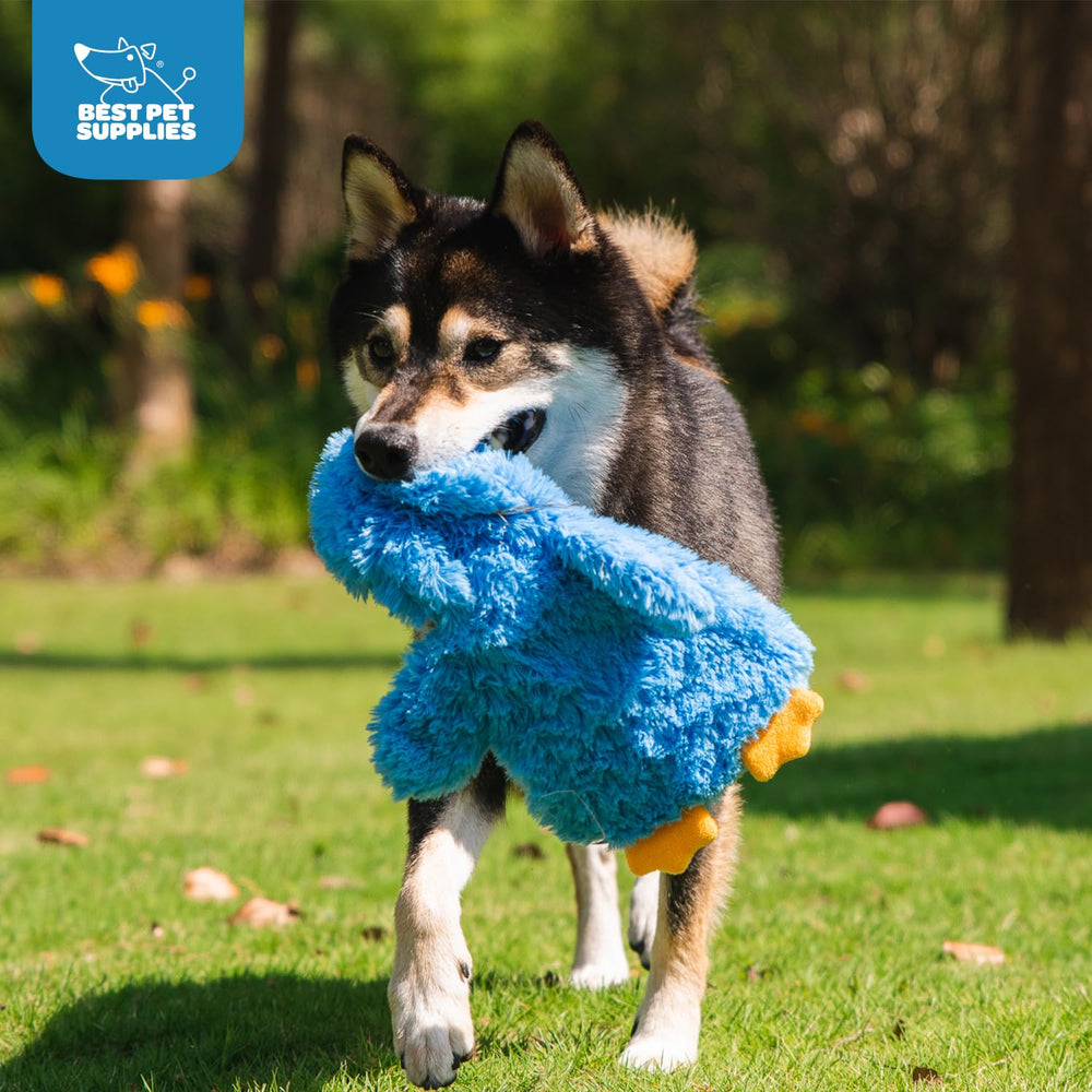 Mejores Suministros para Mascotas Juguete colorido ideal para buscar y traer