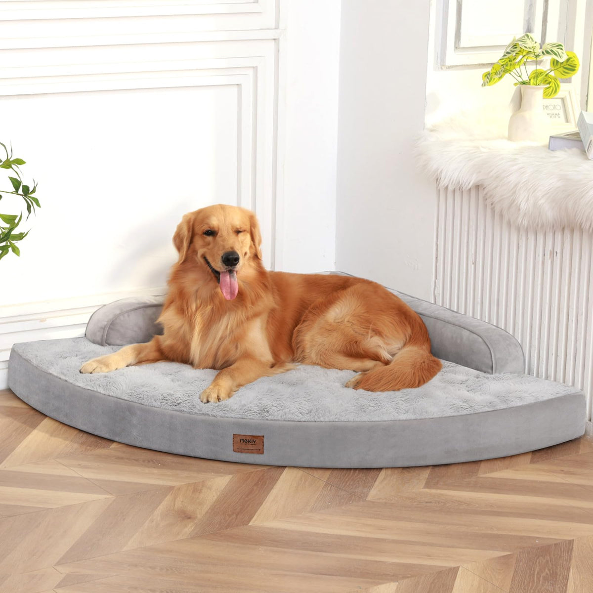 MEKIY cama para perro XL con espuma ortopédica, primer plano de soporte articular