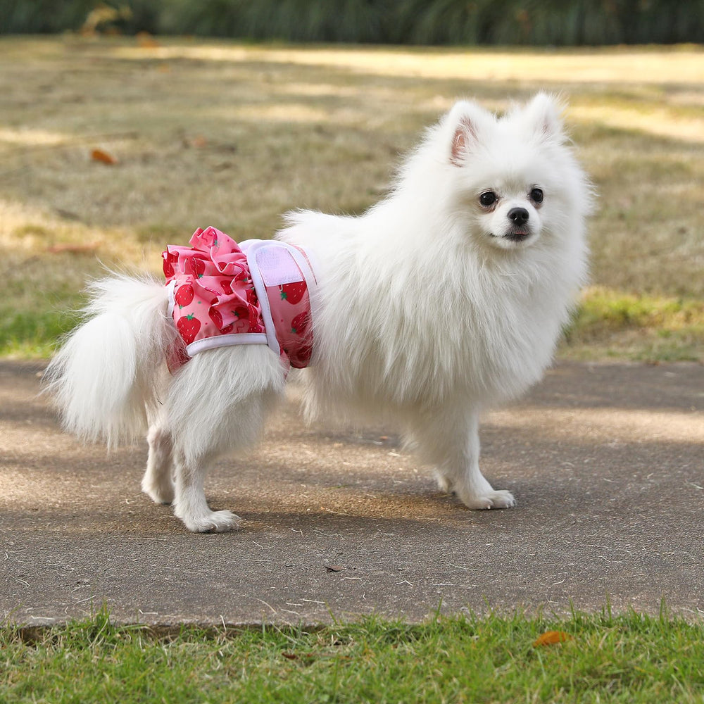 Mengelina couches-chien usage quotidien pour chiots actifs.