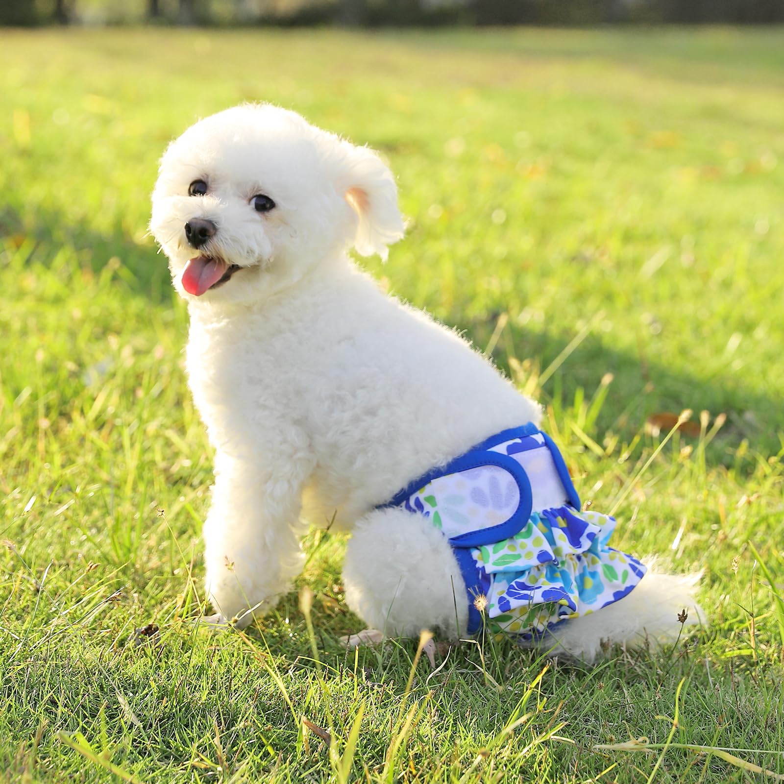 Pañales de Mengelina para incontinencia y periodo en perros.