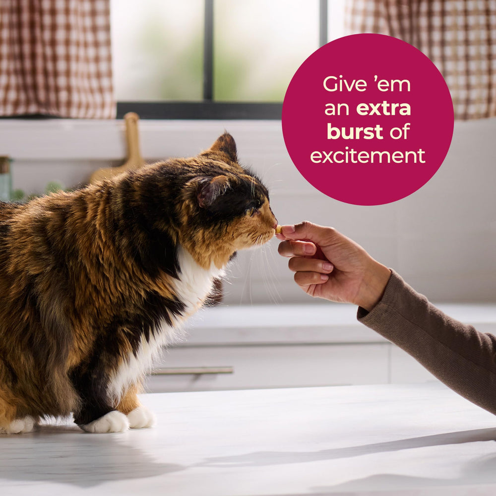 Meow Mix Gravy Bursts textura exterior crujiente que mejora la experiencia de snack