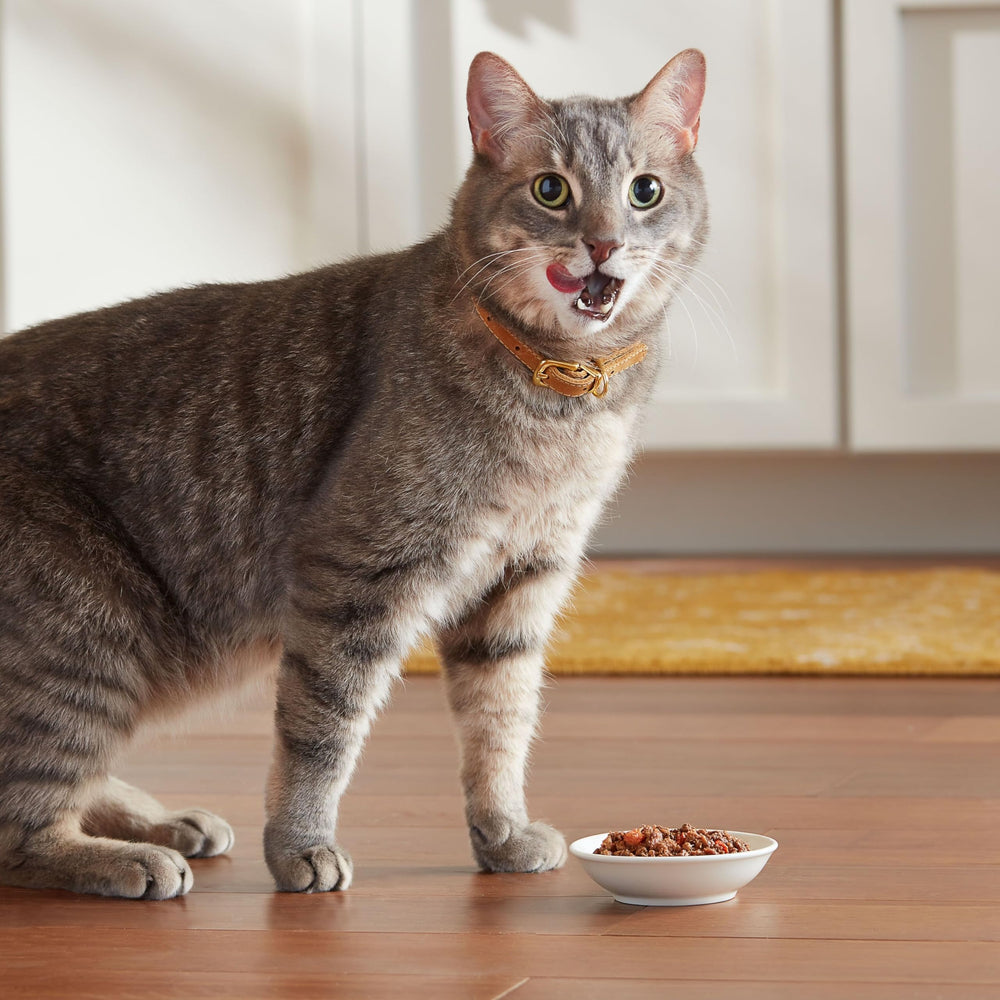 Meow Mix nutrición completa y balanceada para gatos en todas las etapas.