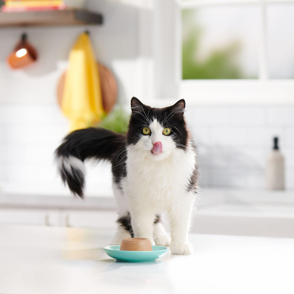 Ingredientes reales de atún y salmón en Meow Mix Paté en Gravy
