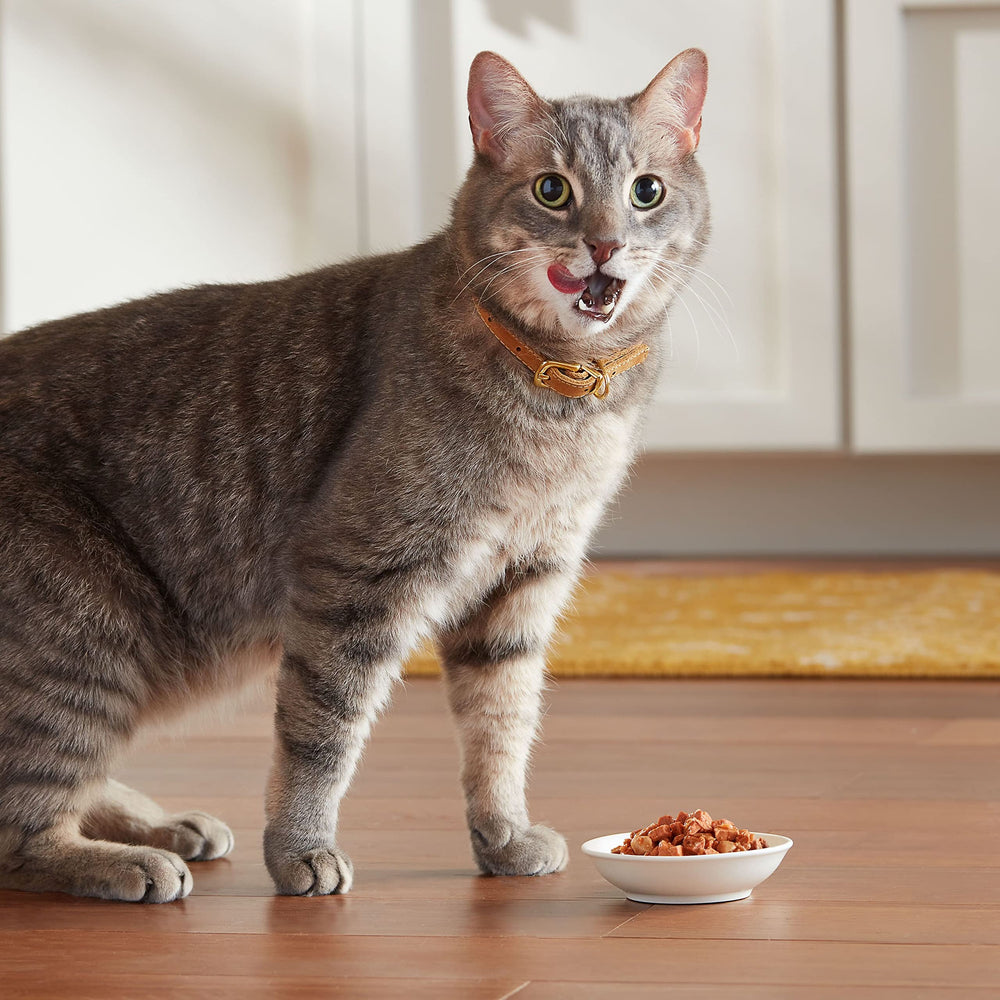 Meow Mix Seafood Favorites salmón y pescado del océano en gravy sabroso