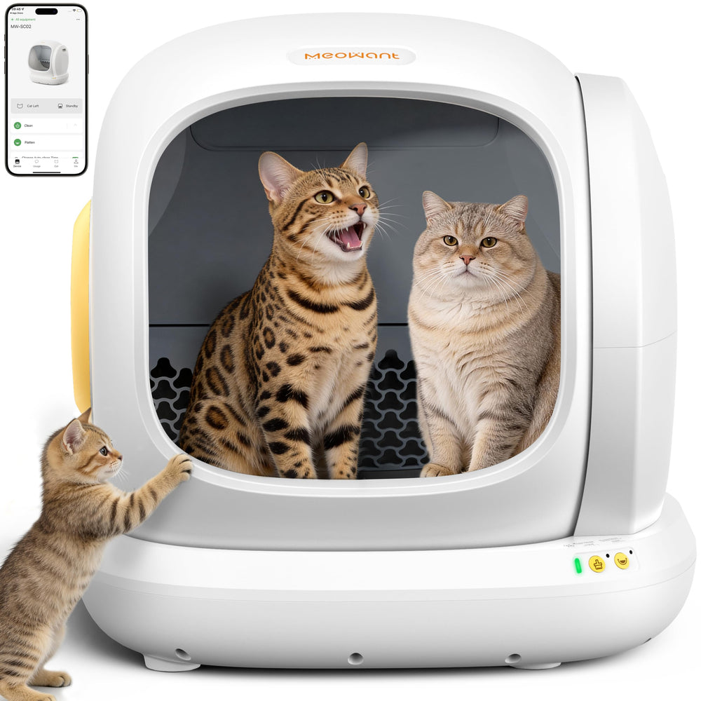 Meowant caja de arena automática 75L con apertura amplia para gatos