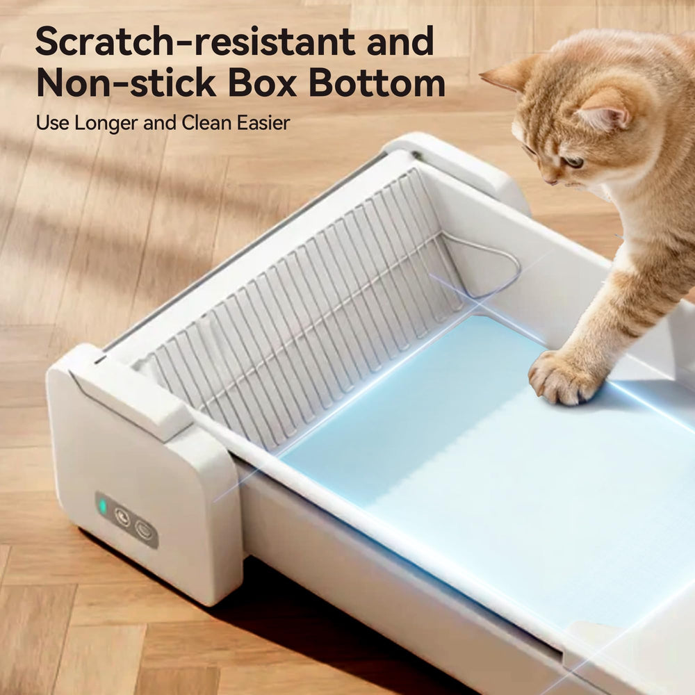 Meowant entrada-baja-7-5-pulgadas: facilita el acceso a gatos con patas cortas.