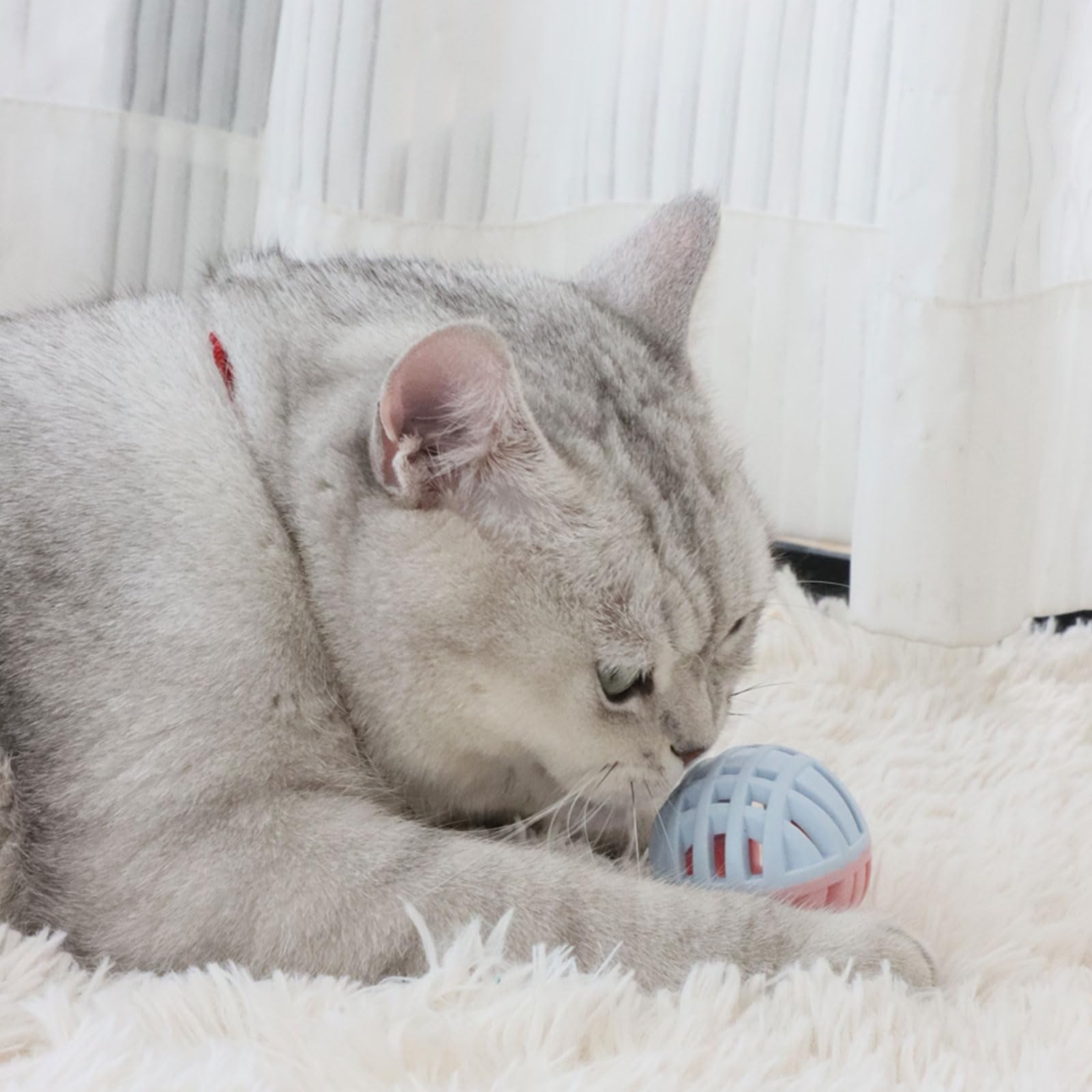 MeowAroma bola de 1,9 pulgadas tamaño ideal para espacios pequeños