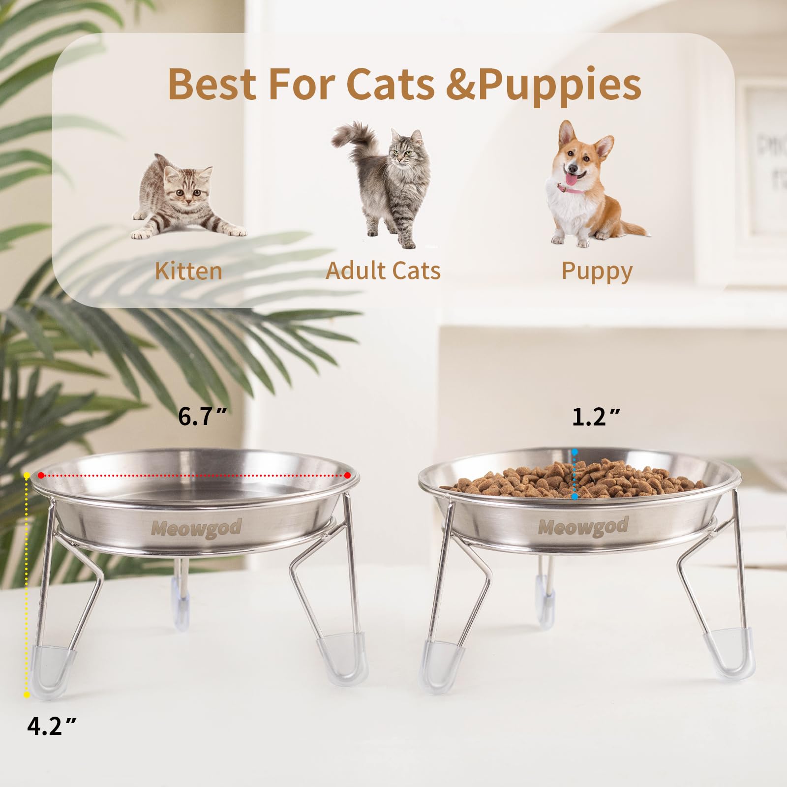 Meowgod juego de dos tazones elevados para gatos y perros pequeños.