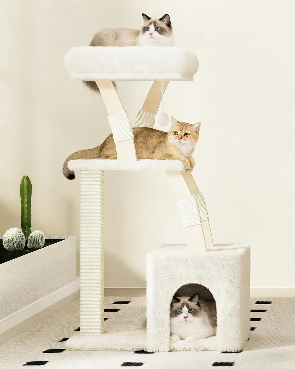 MeowHomm ideal-gatos-grandes-y-gatitos, estructura multi-nivel para diferentes edades