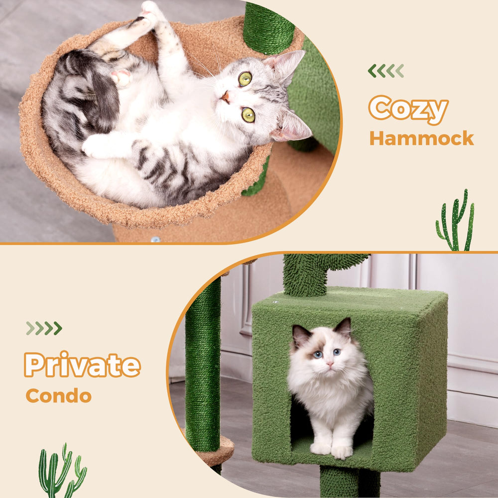 Meowrista bola colgante: juguete interactivo que atrae y entretiene.