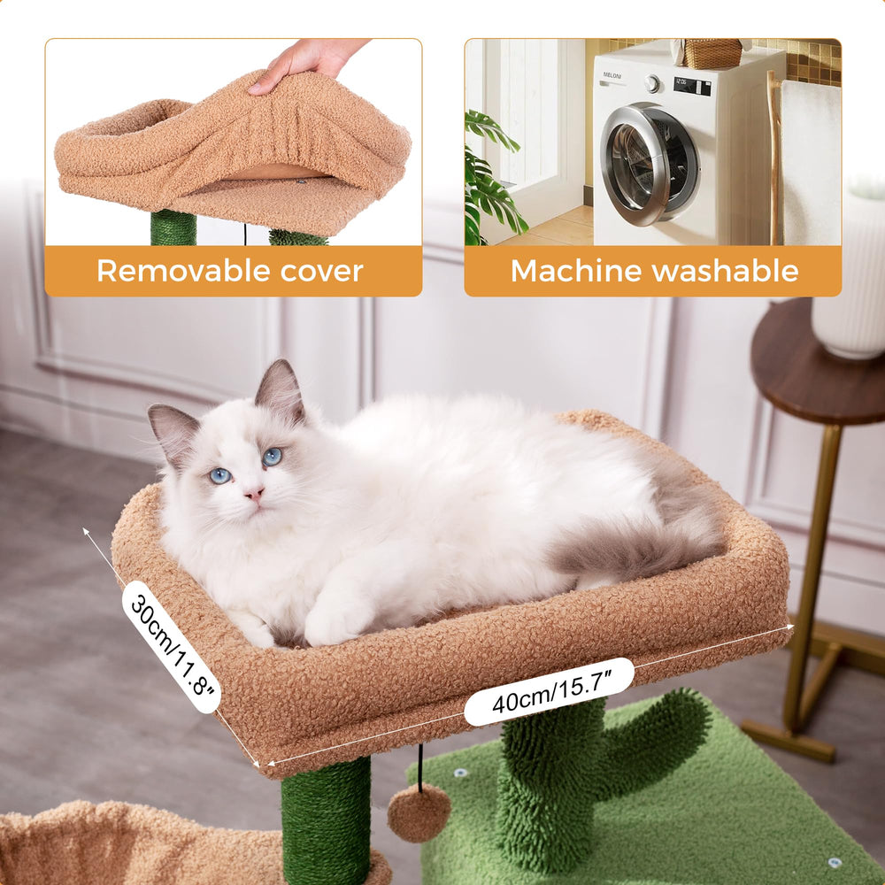 Meowrista casita oculta: espacio cómodo para descansar y explorar.