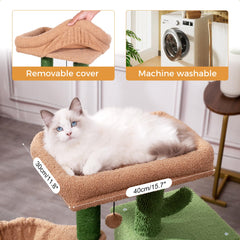 Meowrista casita oculta: espacio cómodo para descansar y explorar.