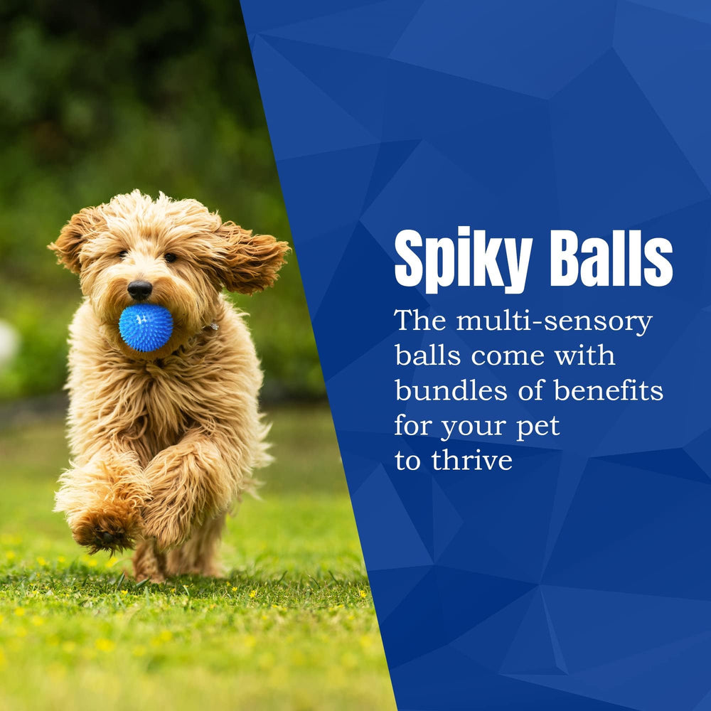 Pelotas Meric CoCoo multi‑mascotas para perro y hurón, diversión en casa.