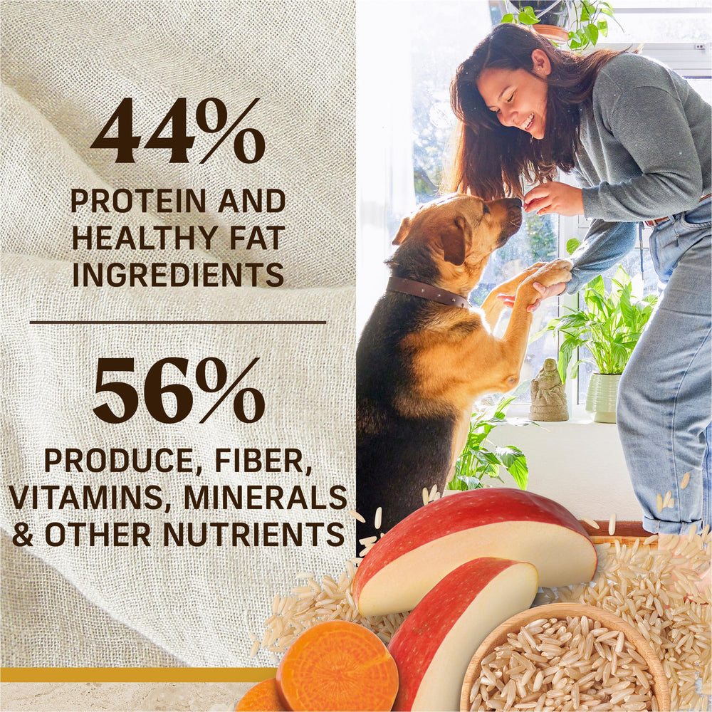 Merrick granos enteros para nutrición equilibrada y digestión estable.