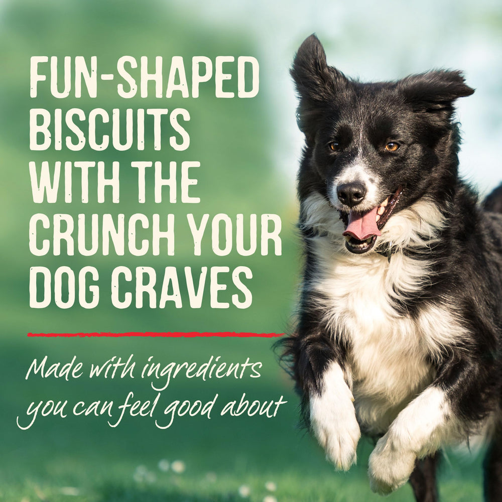 Merrick galletas hechas en USA, calidad garantizada para perros
