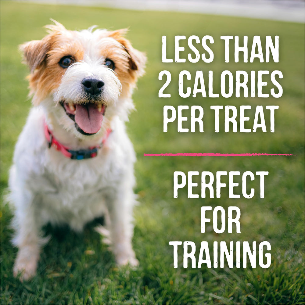 Formas divertidas de Merrick Lil’ Plates para perros pequeños