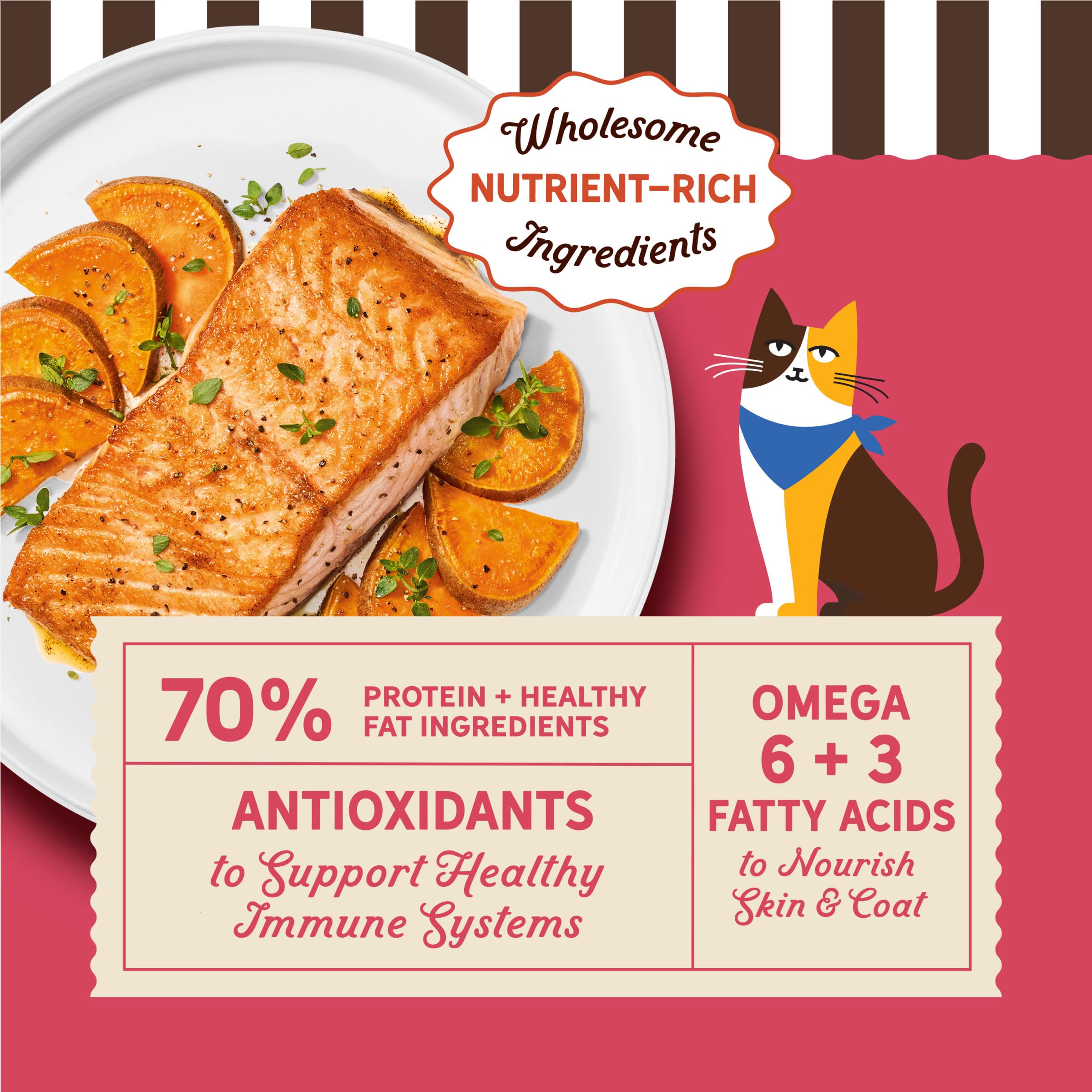 Merrick Purrfect Bistro salmón como primer ingrediente para músculos saludables