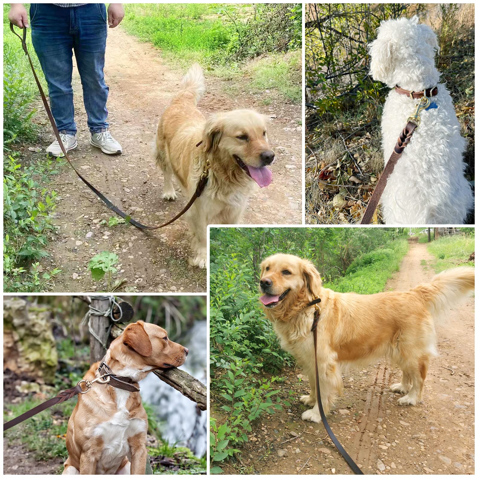Meruogkar correa cuero para perros de todos tamaños