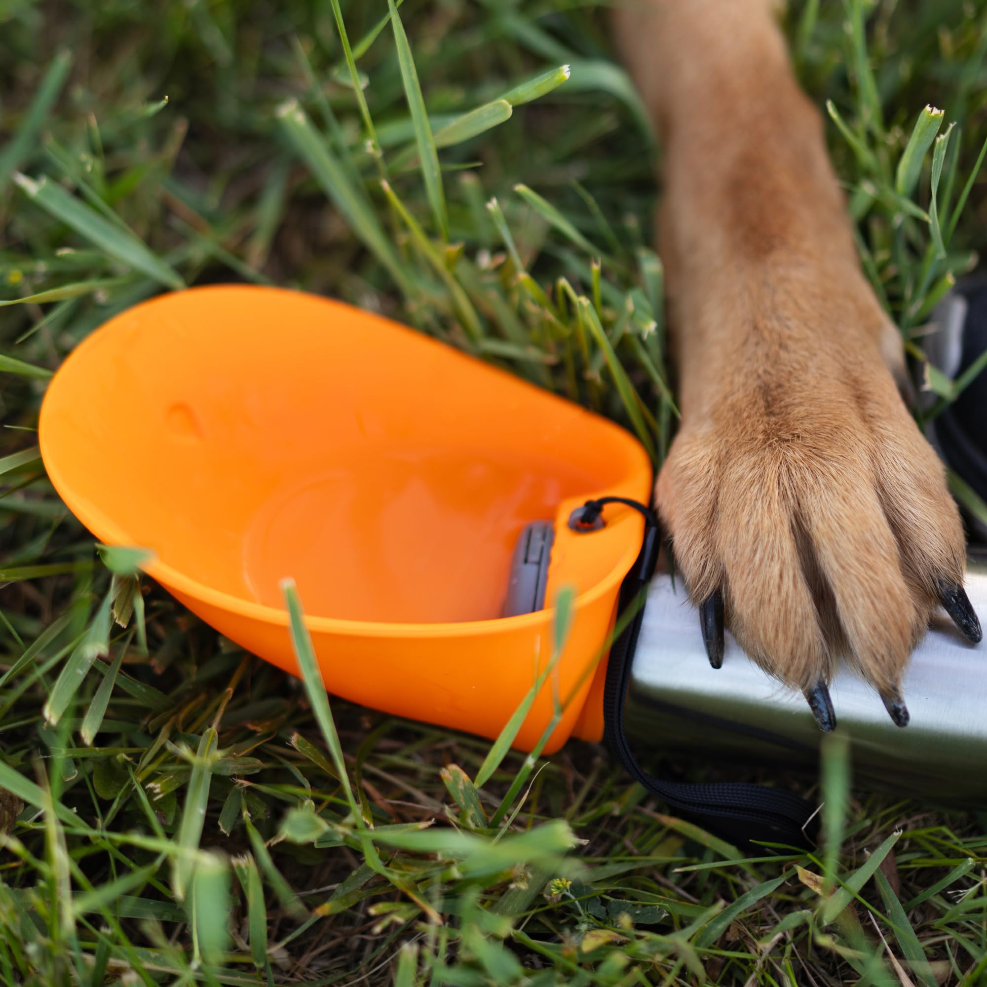 Capacidad de 600 ml para perros medianos y grandes en salidas al aire libre.