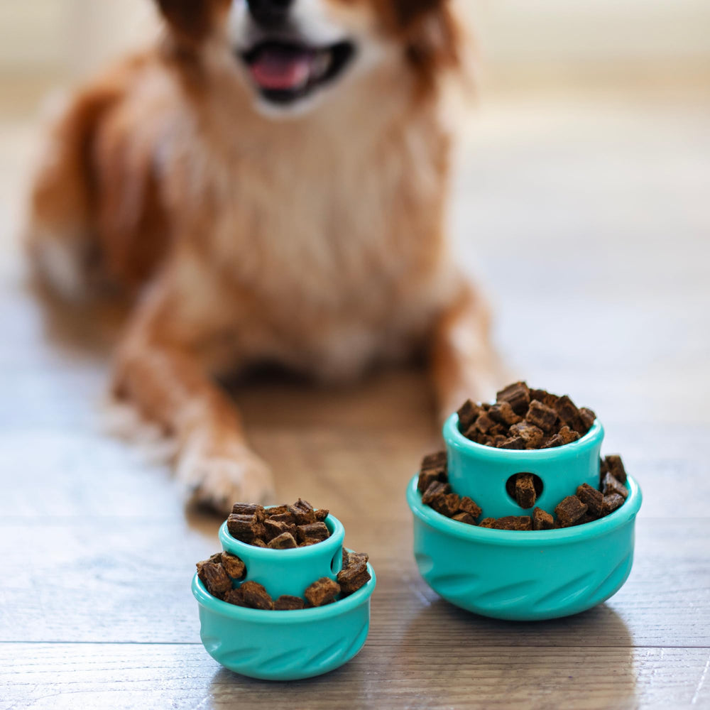Messy Mutts hongo-teal adecuado para momentos de transporte y enriquecimiento.