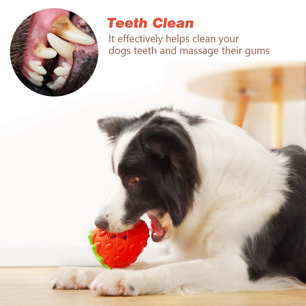 Cuidado dental con MewaJump, goma duradera para masticar y masajear encías.