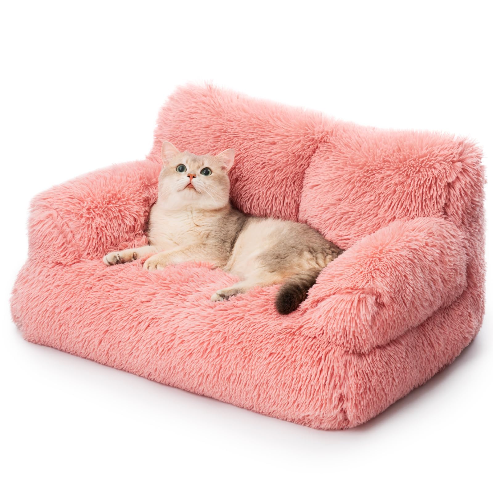 Momento de relax con Mewoo Rosa, ideal para descansar tras el juego.