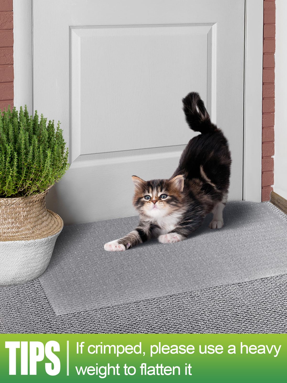 MEWTOGO protector empaquetado en rollo facilita su instalación.